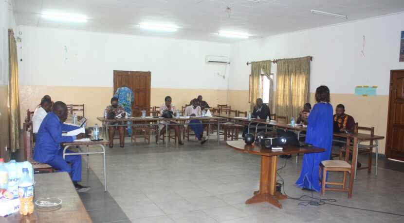 PROJET AQP: LE COMITE D&rsquo;ORGANISATION DE LA 3ème EDITION DU SALON VILLES ET TOITS DU CAMEROUN EN PLACE