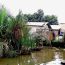 LES DÉCHETS QUE NOUS JETONS À L’EAU FINISSENT-ILS TOUJOURS PAR REVENIR DANS NOS MAISONS ?